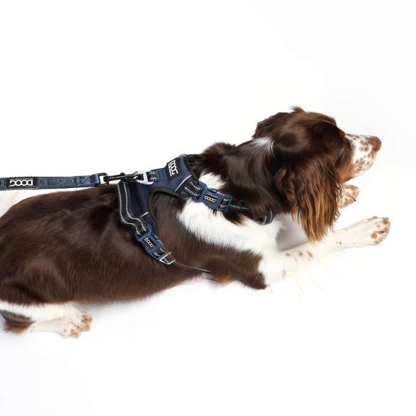 DOOG Neotech Harness Navy Gr. S DOOG Neotech Harness Navy Gr. S
